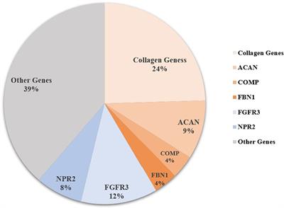 Clinical Characteristics of Short-Stature Patients With Collagen Gene Mutation and the Therapeutic Response to rhGH